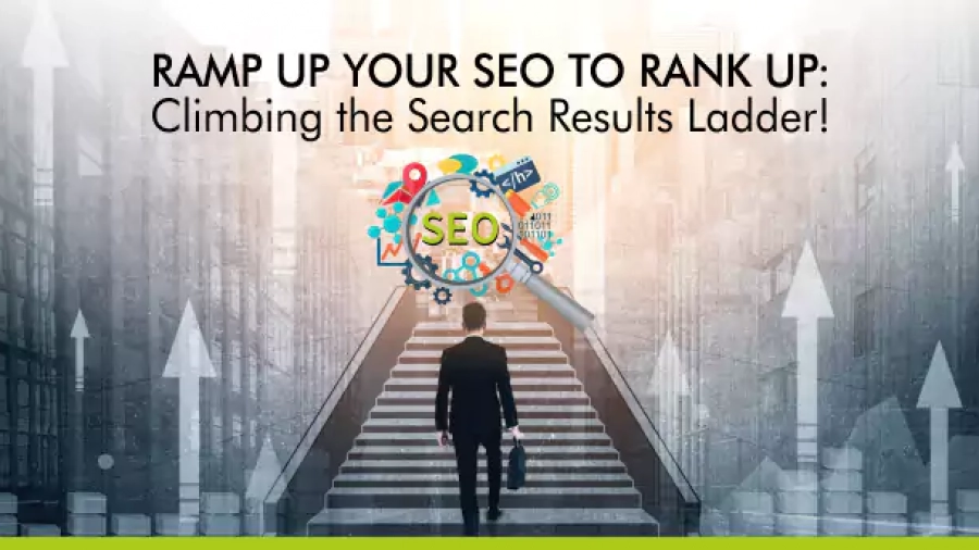 SEO Rank | Herbea